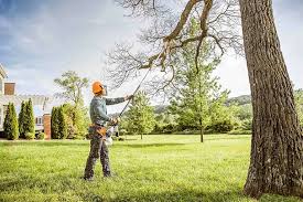 Reliable Wilton Center, CT Tree Services Solutions